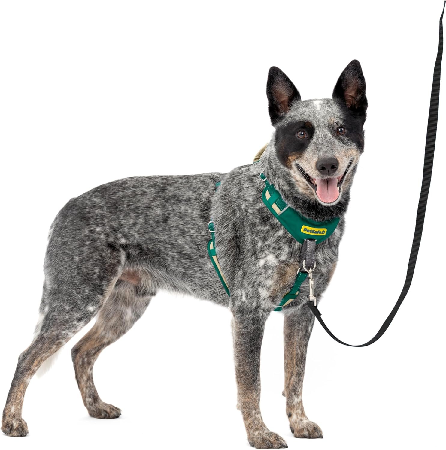 PetSafe Easy Walk Comfort No Pull Dog Harness, Green, Medium