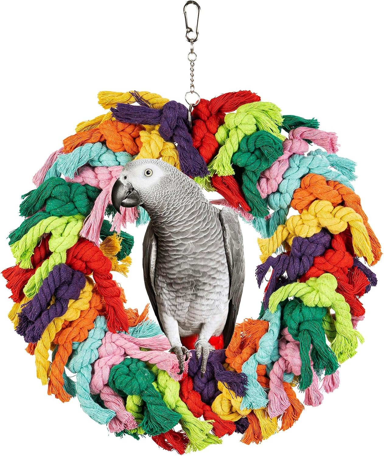 Parrot Swing for Large Birds