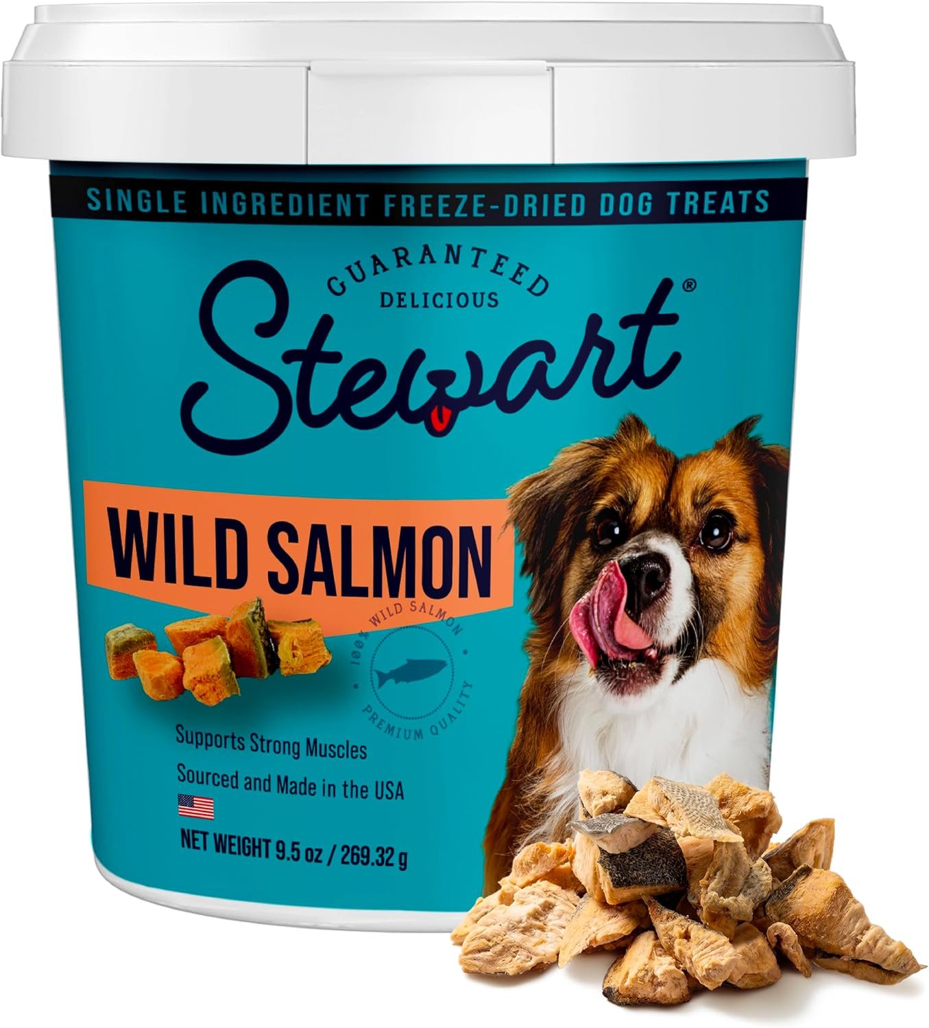 Stewart Freeze Dried Dog Treats, 100% Wild Salmon, 9.5 oz Tub