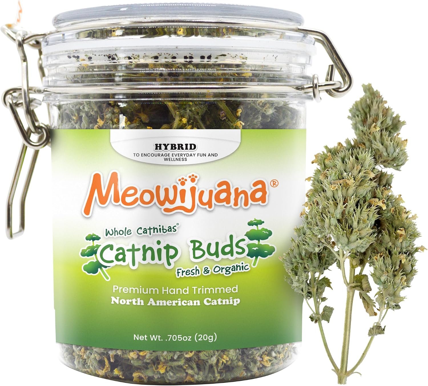 Meowijuana Dried Catnip Buds Jar for Cats | High Potency Whole Blossoms
