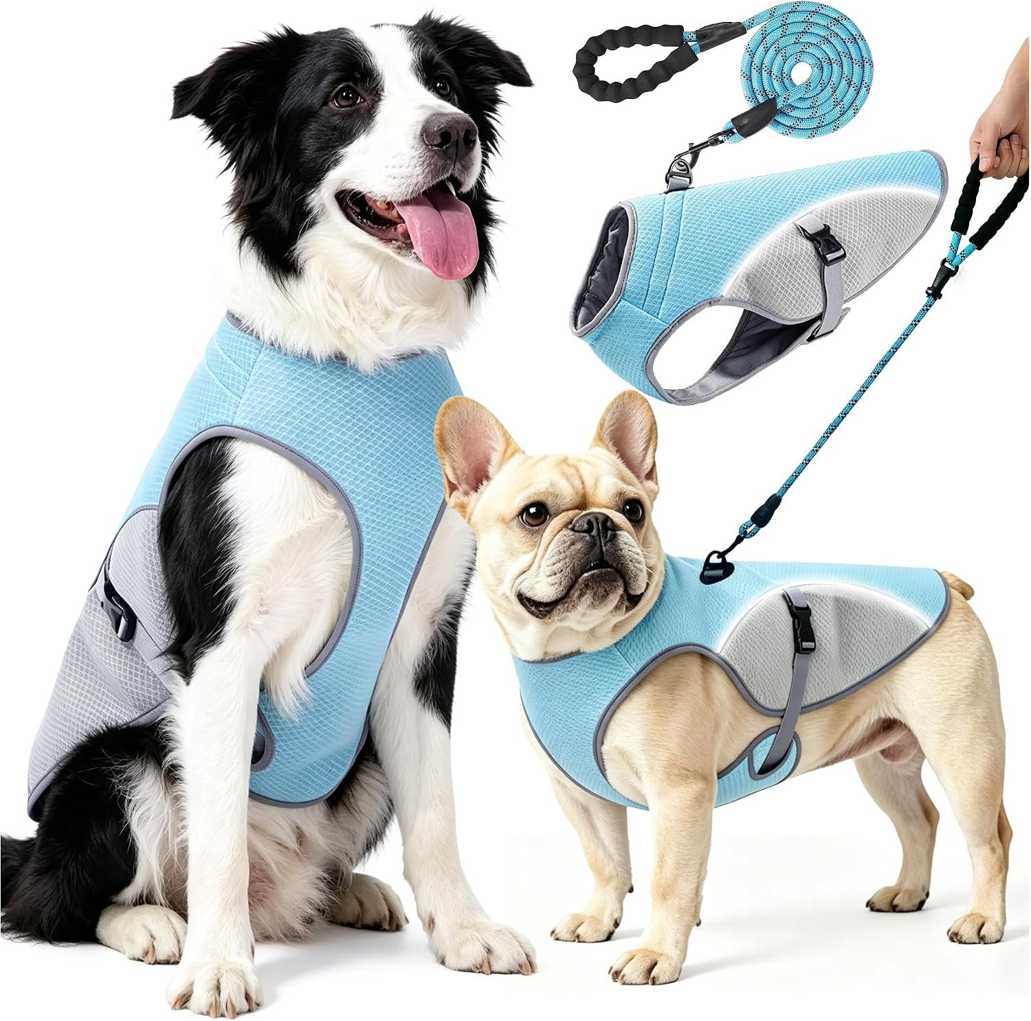 Dog Cooling Vest with 6.5FT Leash, UPF50 Breathable Lightweight Heat Relief Vest for Small & Large Dogs, Hot Weather Summer Outdoor Walking Hiking
