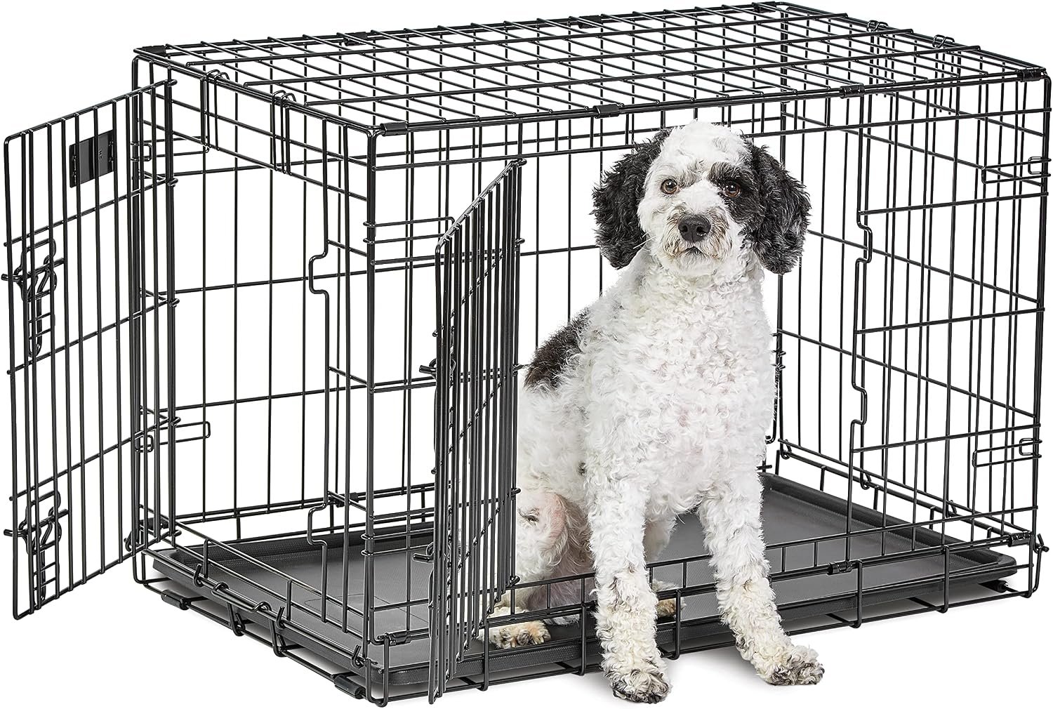 LifeStages by MidWest 30-Inch Double Door Crate, Medium Breeds, 21-40 lbs