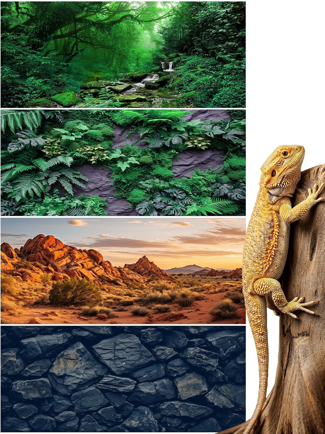 Breling 36 x 18 Inch 4 Pcs Reptile Tank Background,Habitat Scenes, Style2