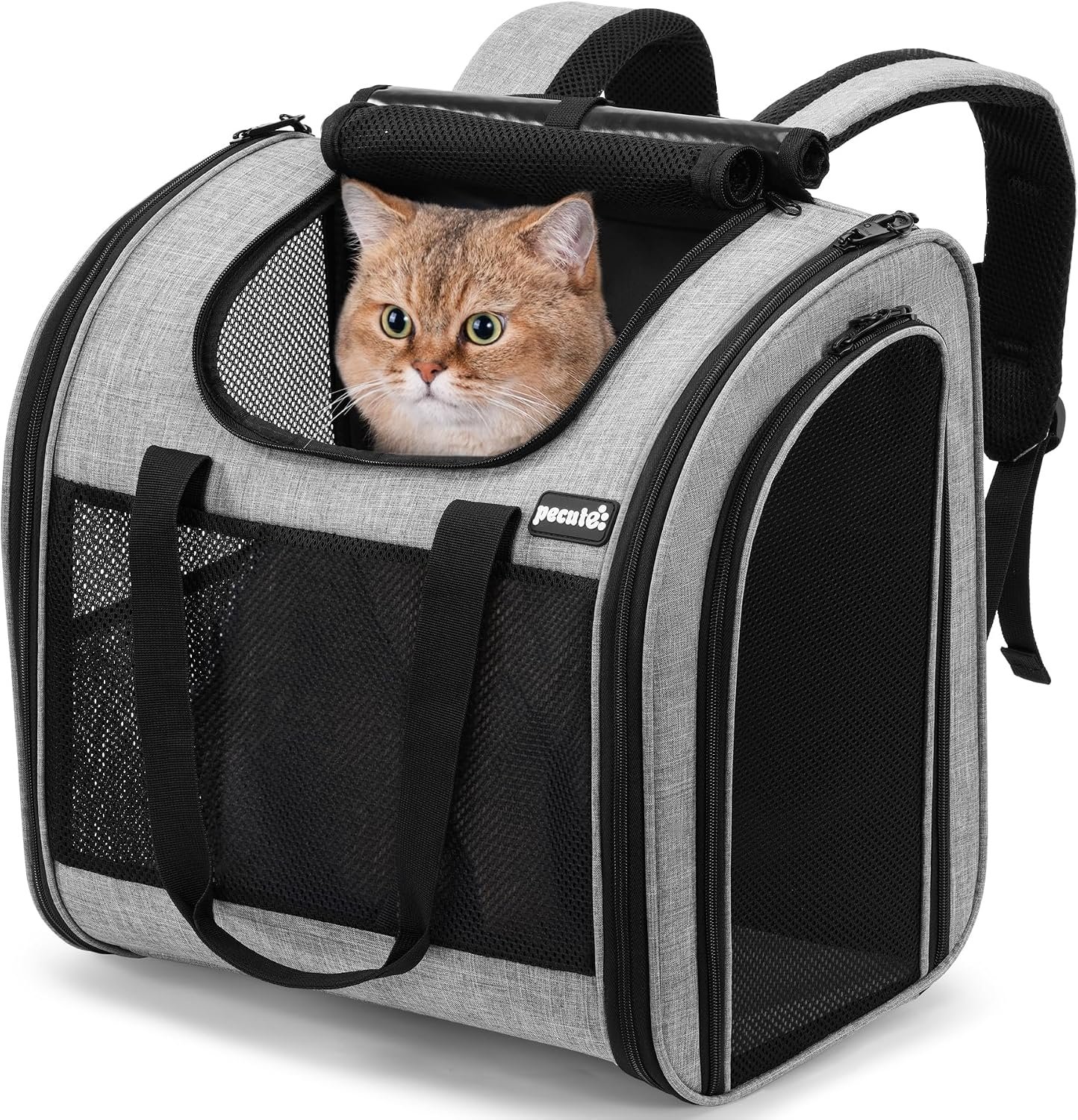 Pecute Cat Backpack with Widened Interior Space, Upgraded Dog Backpack Carrier with Various Ways to Carry, Pet Backpack with Breathable Mesh, Pet Travel Carrier with Soft Padded, Reinforced Support